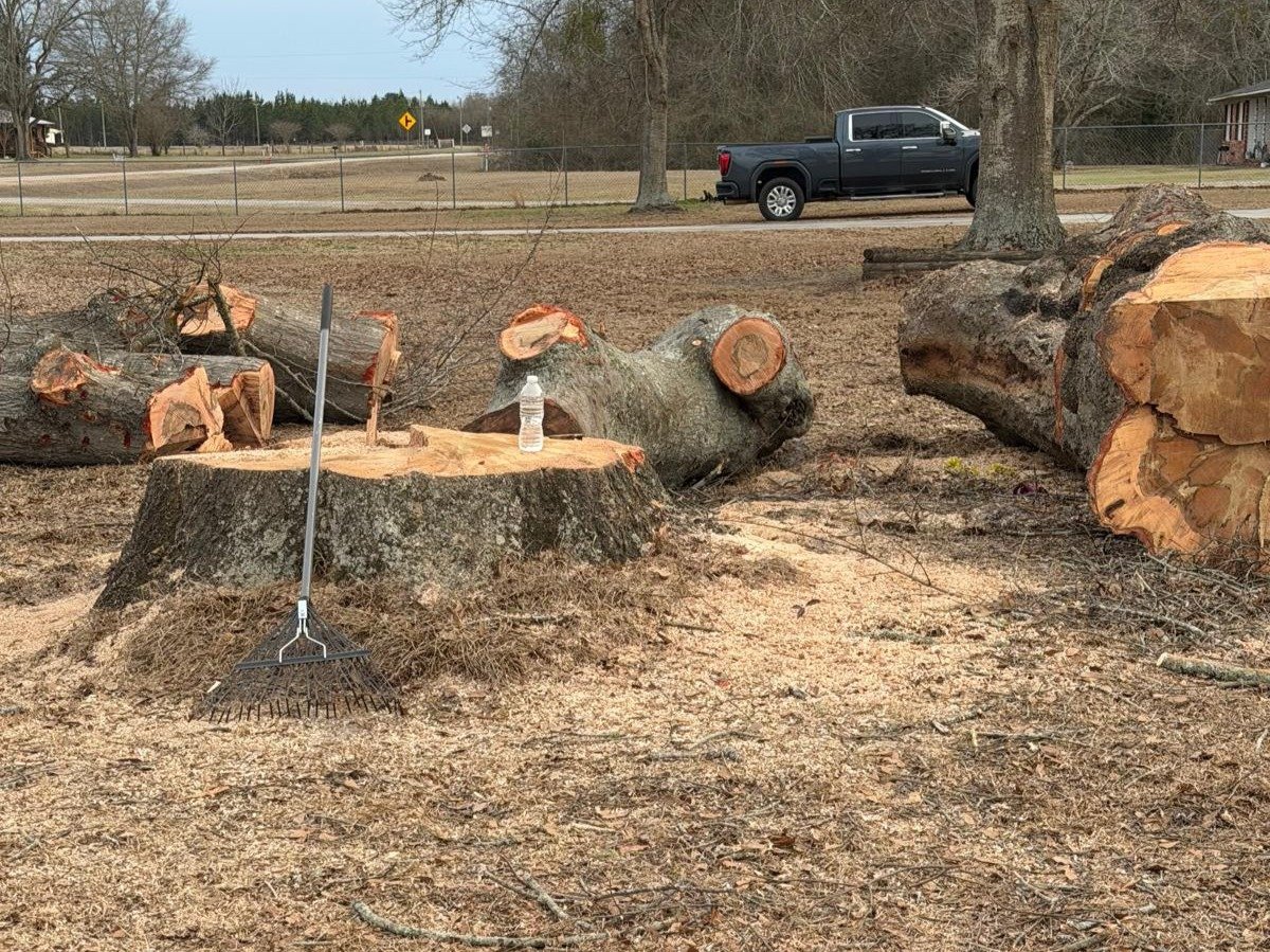 El Costeño Tree Service LLC